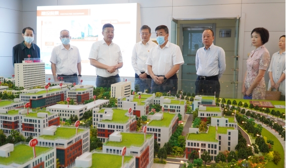 省政协副主席李民来红桃国际调研